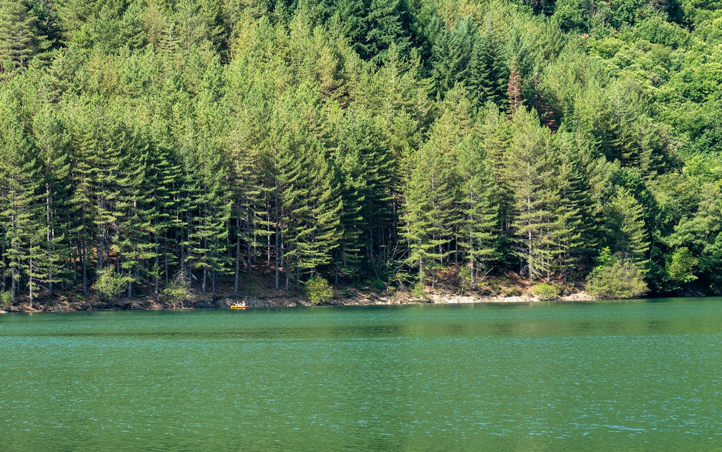 Camping Cévennes, lac de Villefort et forêts face au Camping Lac de Villefort