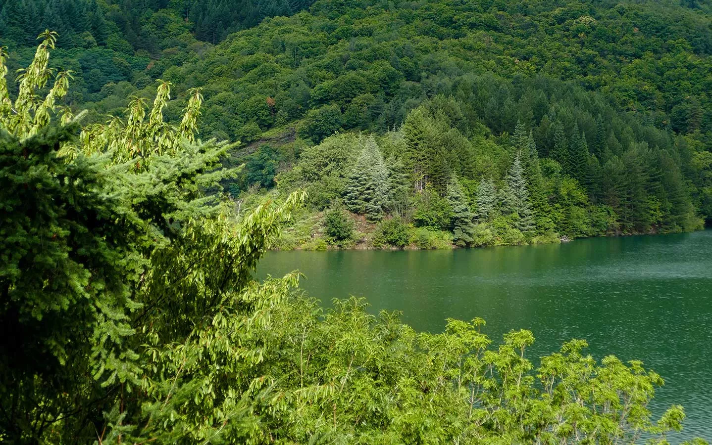 Vacances au Mont Lozère