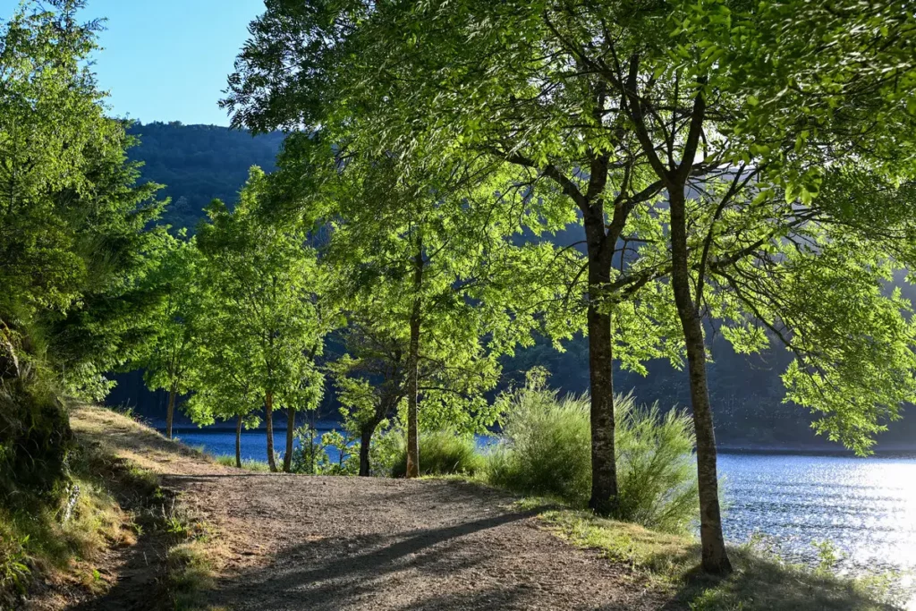 Sentier forestier au bord du lac de Villefort, dans les Cévennes