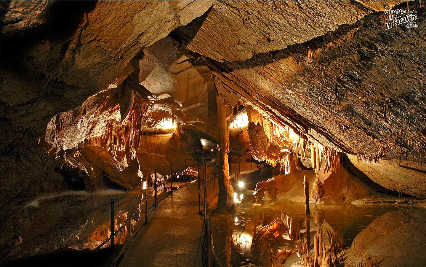 Grotte de la Cocalière, salle des reflets