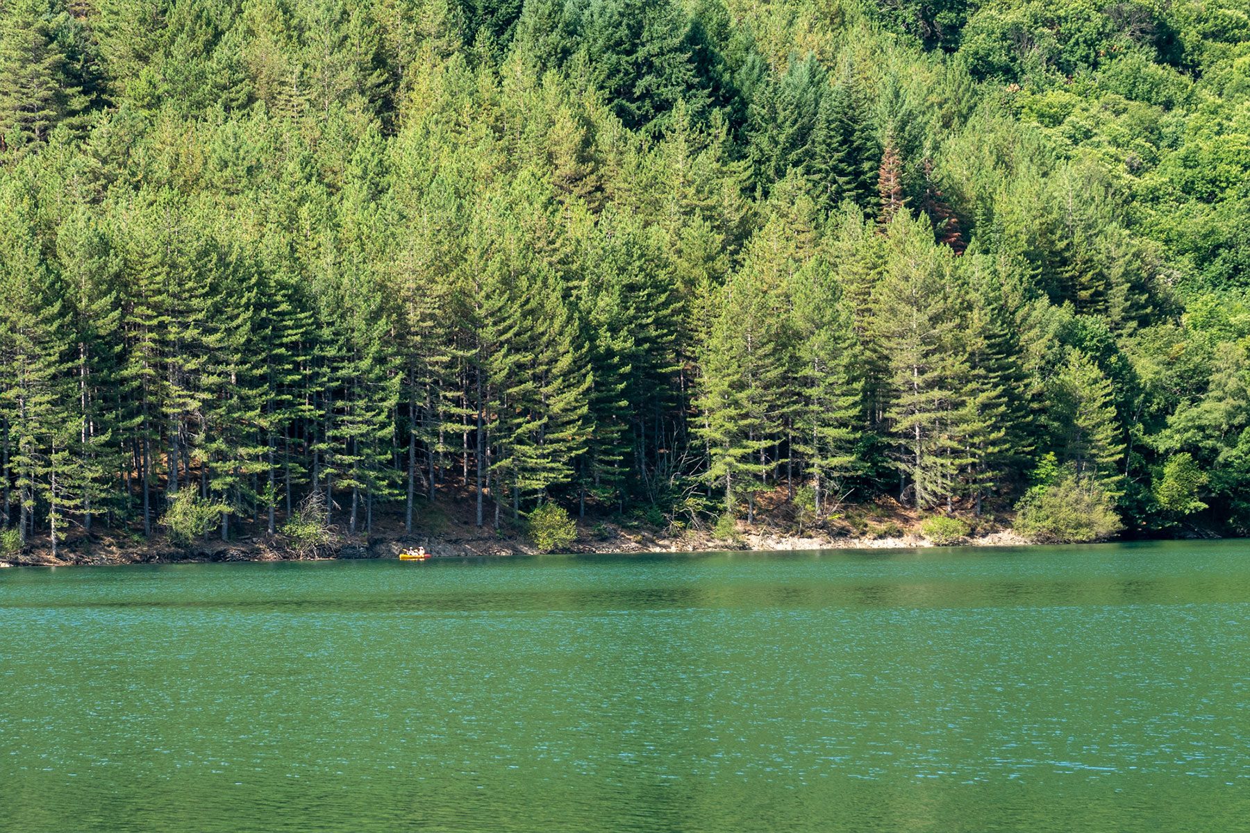 Lac de Villefort dans le Parc National des Cévennes