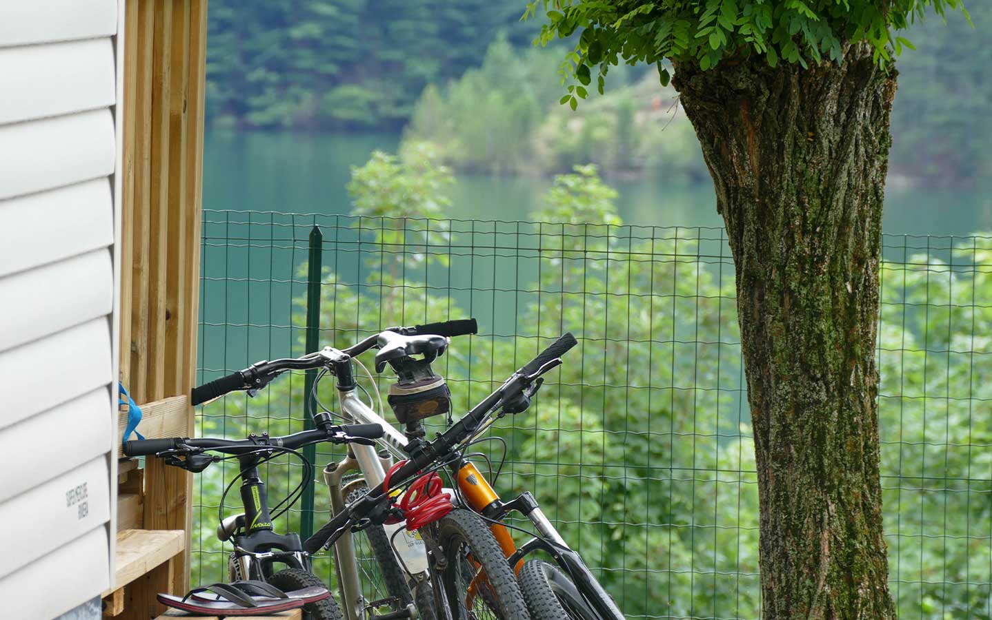 Sports dans les Cévennes, vélo