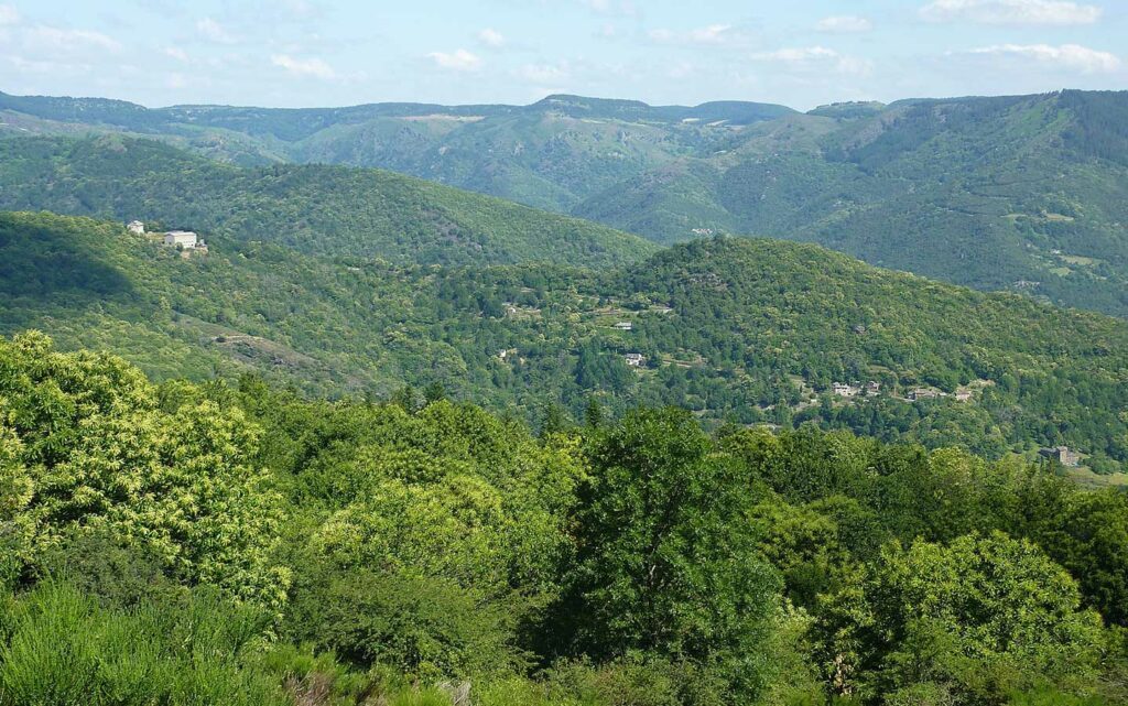 Étape de retour : Vallon du Villaret ou Saint-Ambroix selon la direction